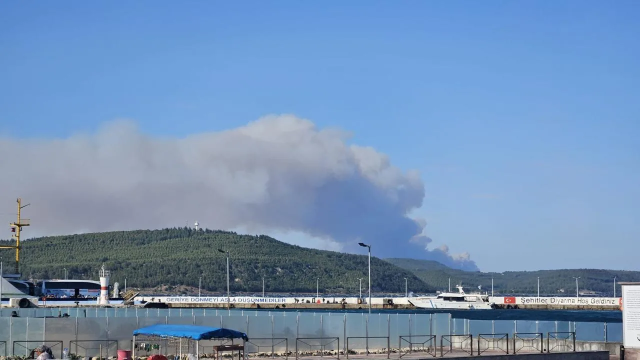 Çanakkale Gelibolu’da orman yangını – Son Dakika Haberleri