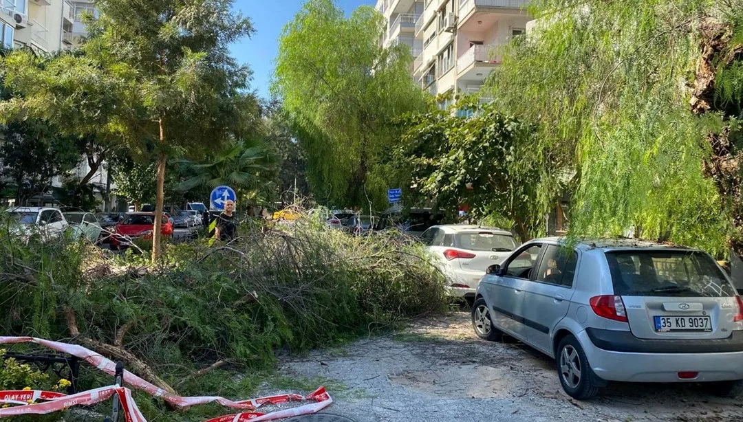 İzmir’de park halindeki otomobilin üzerine ağaç devrildi – Son Dakika Türkiye Haberleri