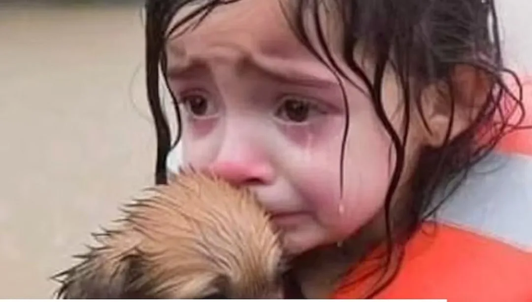 İnterneti dolduran yeni tehlike: “AI slop” nedir? – Son Dakika Teknoloji Haberleri