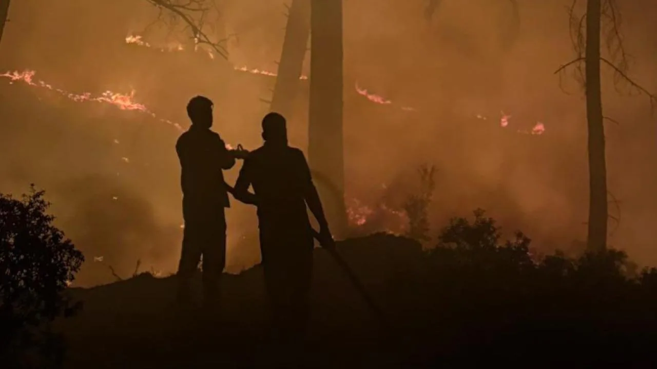 Yangında hayatını kaybeden orman gönüllülerine ‘şehit’ statüsü