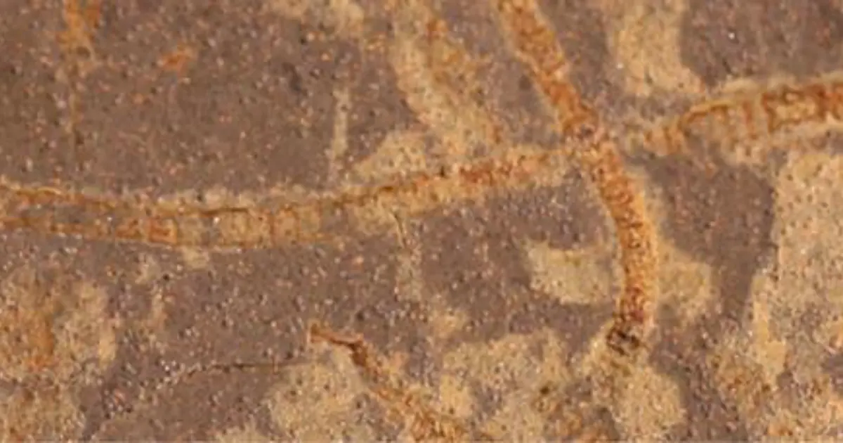 3,3 milyar yıllık kayalarda kadim yaşamın izleri bulundu