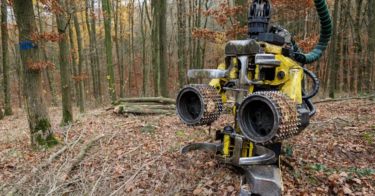 Almanya’da ağaç dalları araba lastiklerine dönüyor