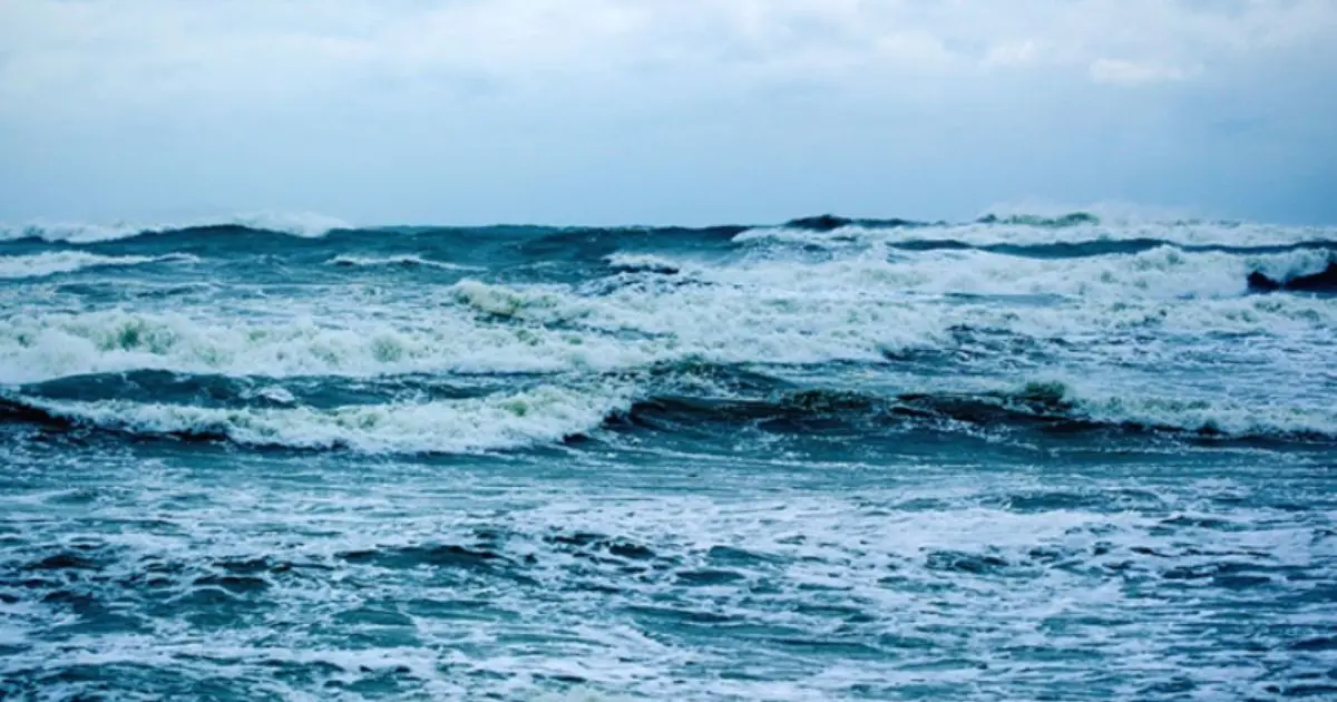 Ağır makineler Pasifik tabanını deldi. Madencilik testlerinin yıkıcı etkileri açığa çıktı