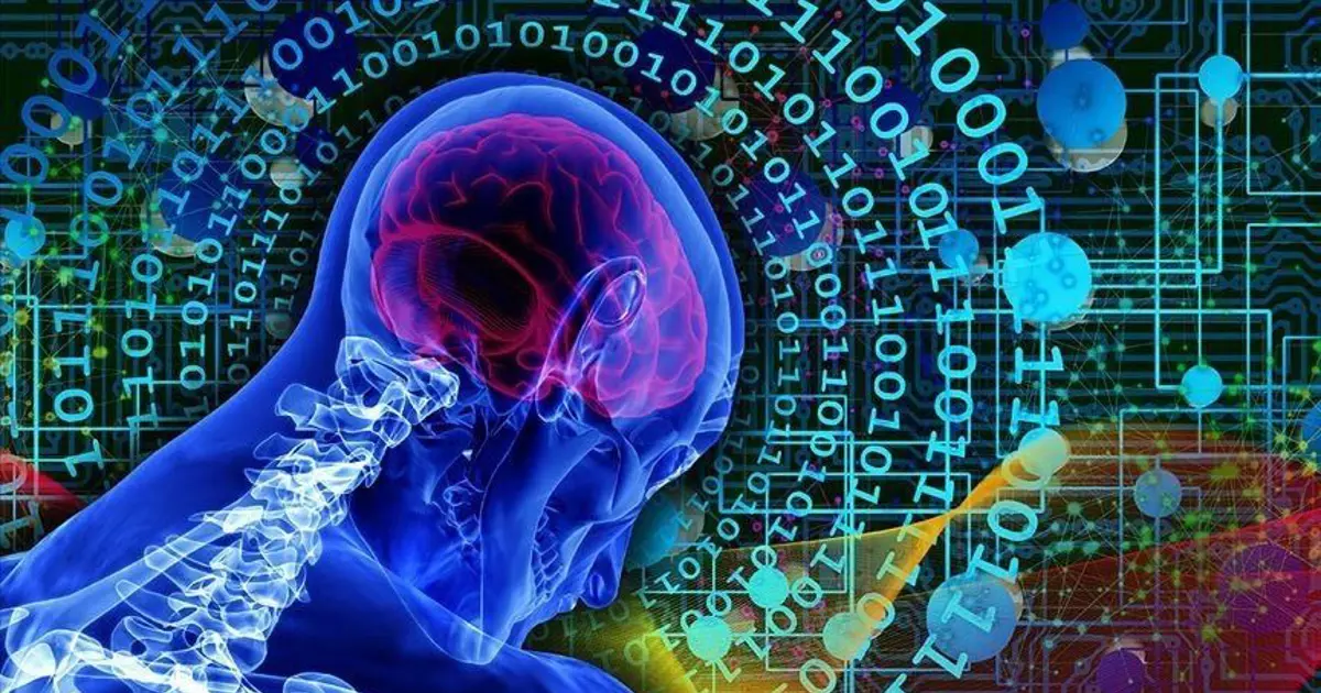 İnsanın beyin dokularıyla çalışan bilgisayarlar geliyor