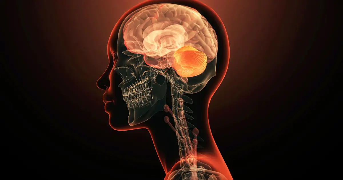 Anılarınız sandığınız kadar güvenilir olmayabilir. Beynimiz geçmişi sürekli “yeniden yazıyor”