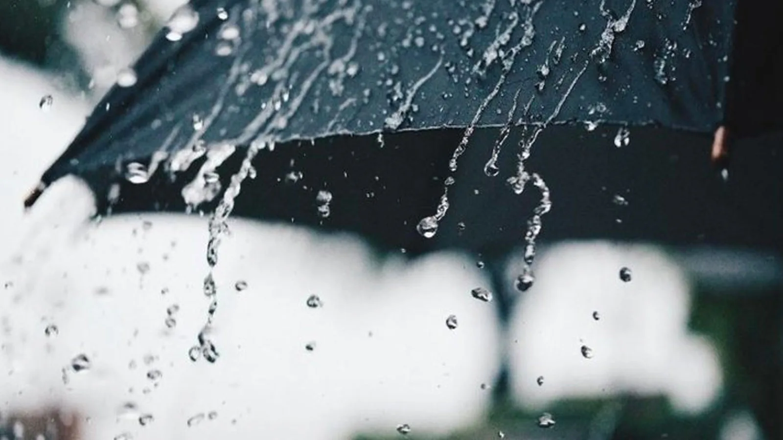 Meteoroloji yarın yer yer sağanak beklendiğini duyurdu – BRTK